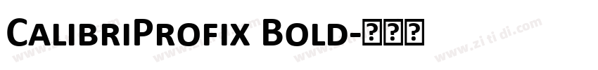 CalibriProfix Bold字体转换
